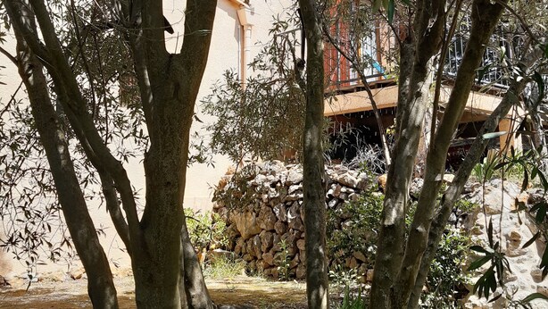 A garden area with trees, a stone wall, and a building with a balcony.