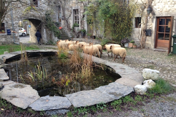 Áreas de la propiedad