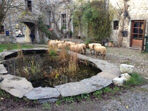 A courtyard with a stone fountain, sheep, and stone buildings. - Authentic stone house in an old farmyard (Hamoir)