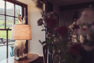 20-inch Smart TV with digital channels, TV