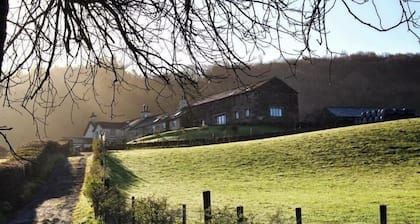 Bank Ground Farm