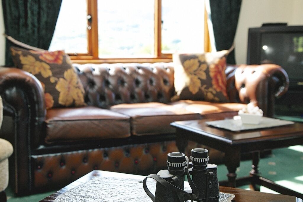A leather sofa with floral cushions, a wooden coffee table, and two vintage cameras on a tray.