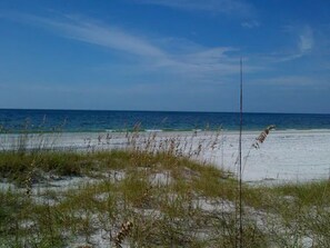 بالقرب من الشاطئ