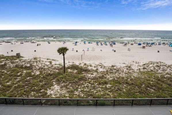 A beach with a sandy shore, a palm tree, and a wooden boardwalk.