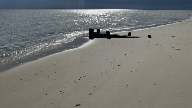 A beach with a clear sky, sun shining, and calm sea. - Cozy Little Blue Cottage by the Bay (Milford)
