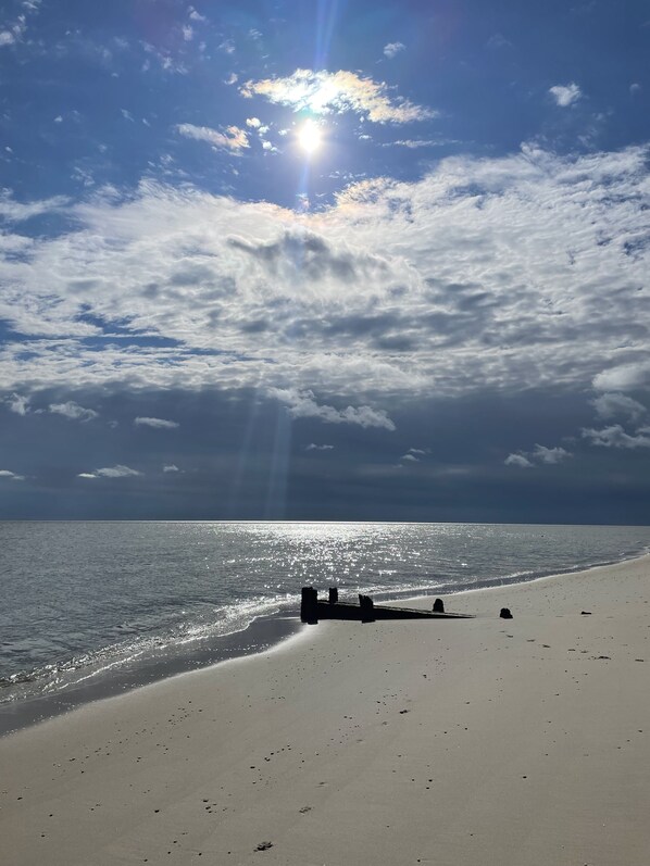 Beach nearby - Cozy Little Blue Cottage by the Bay (Slaughter Beach)