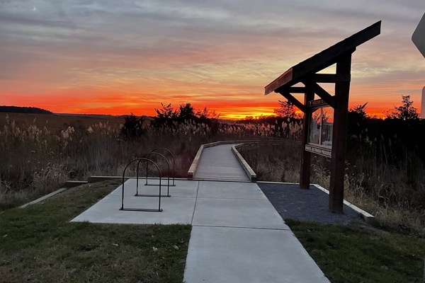 Marvel Salt Marsh Preserve