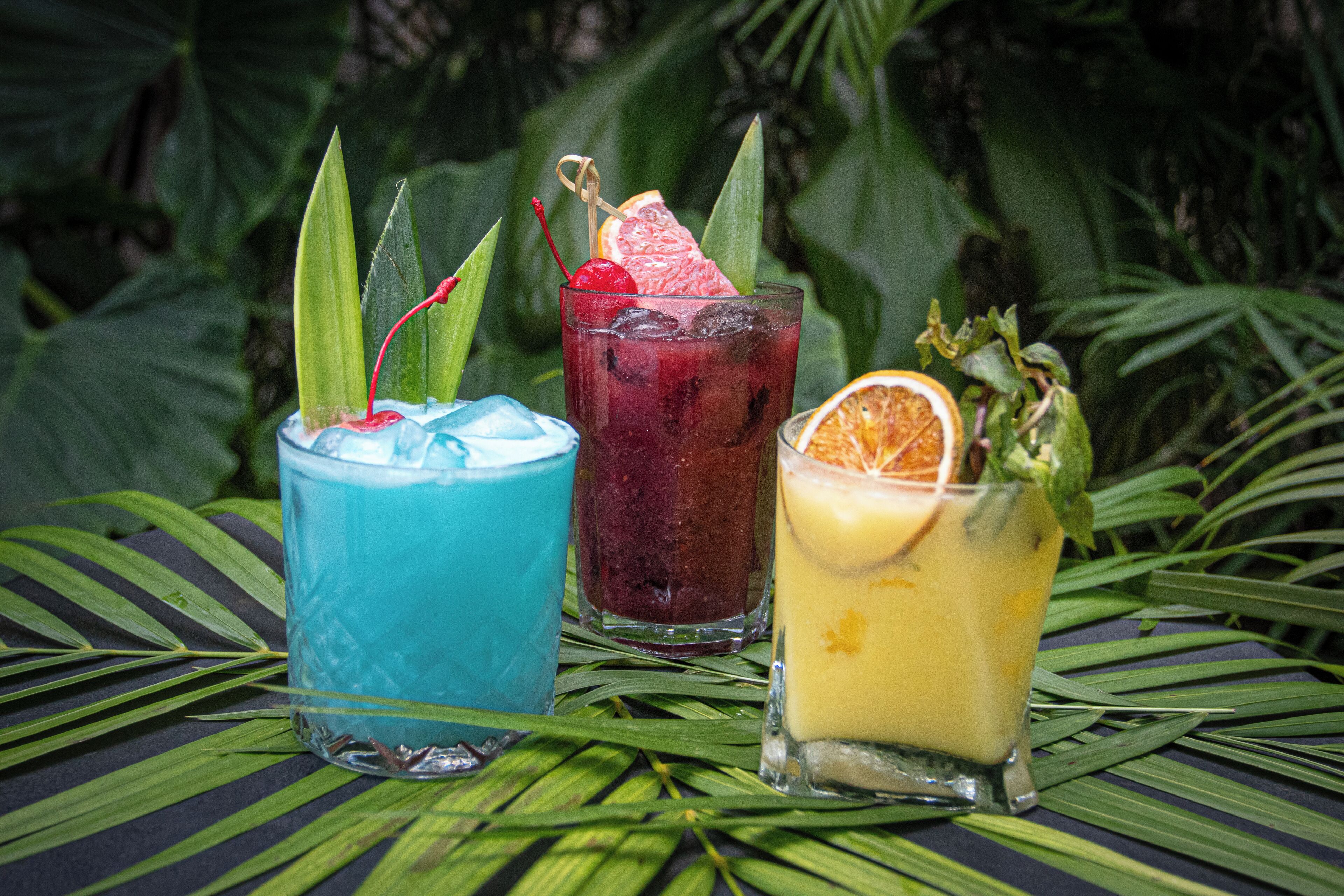 Tres bebidas coloridas sobre una mesa con hojas tropicales.
