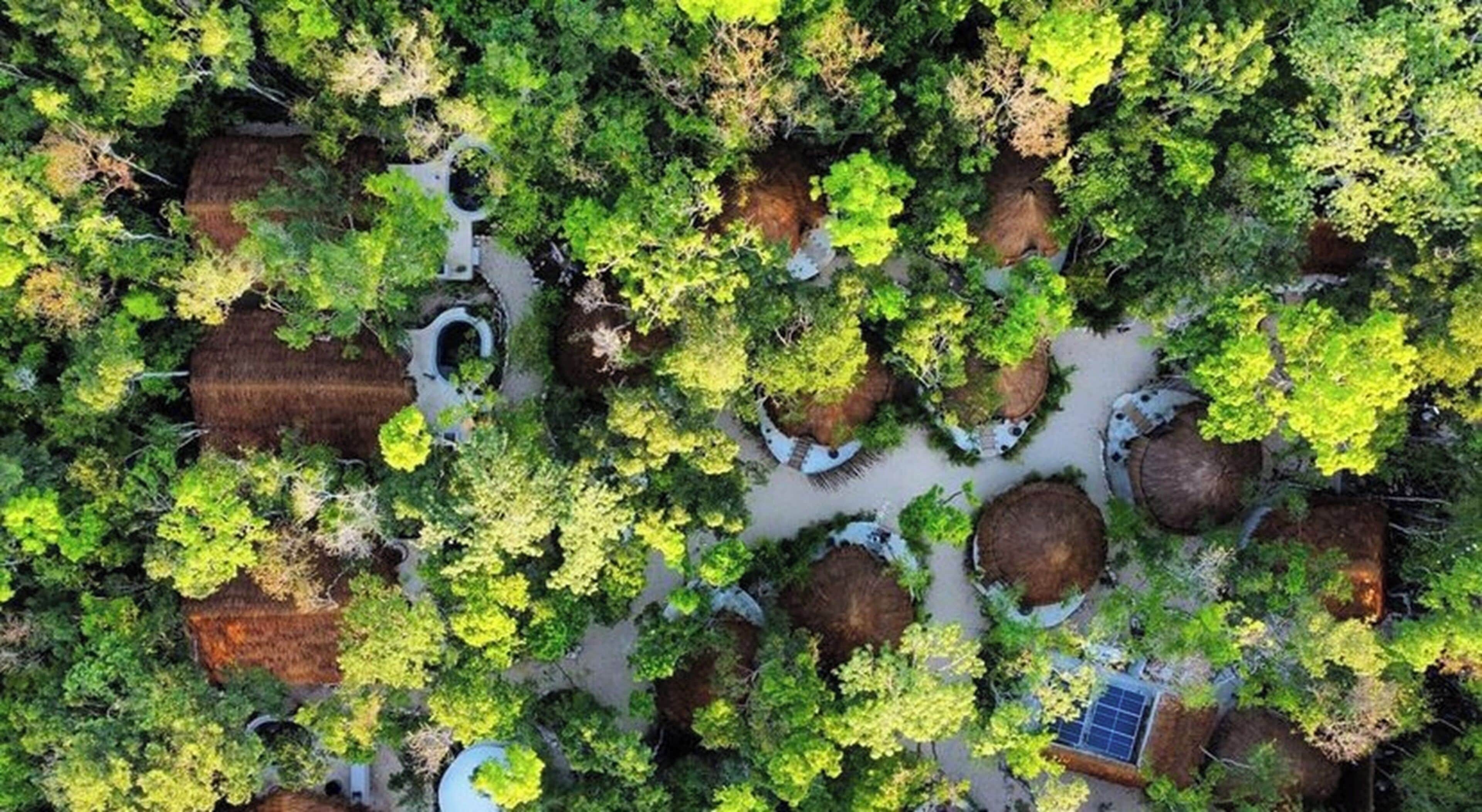 Foto - The Yellow Nest Tulum