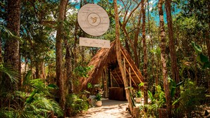 A thatched-roof hut surrounded by dense forest.