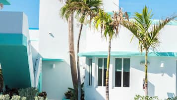 A modern building with a white facade and teal accents, surrounded by palm trees.