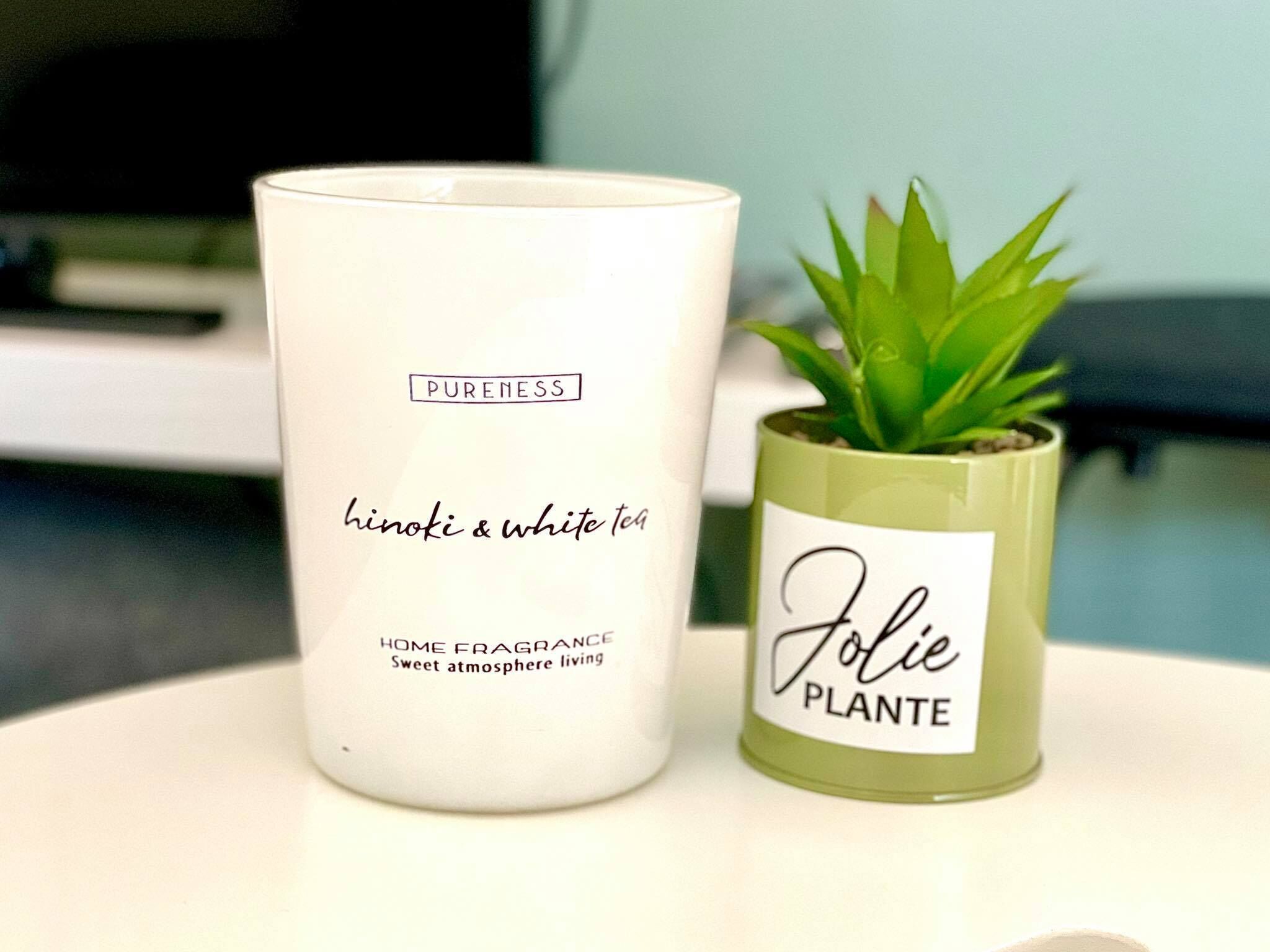 A white candle labeled "PURENESS" and a small potted plant with a label reading "Jolie PLANTE".