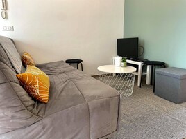 Apartamento estándar | Zona de estar | Una televisión LED