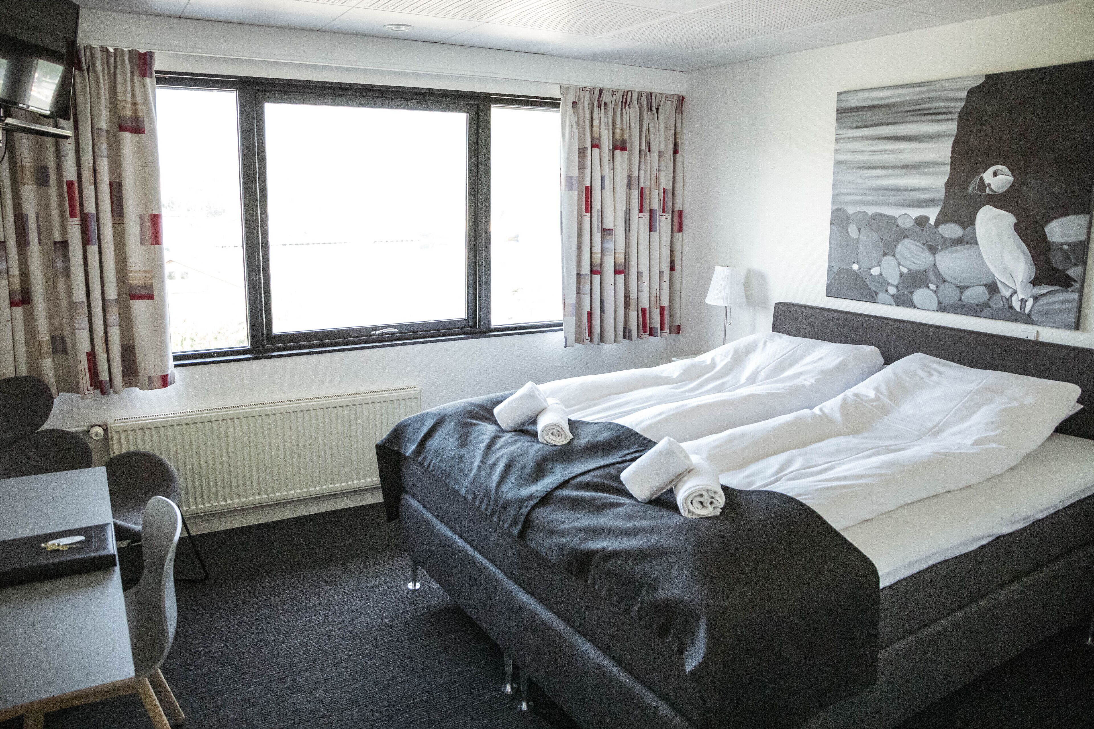 superior double room, 1 queen bed. ground floor only. | hypo-allergenic bedding, desk, laptop workspace, free wifi