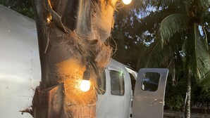 A tree trunk with a light bulb attached to it, a metal structure, and a palm tree in the background. - Private Beach  experience, 5 minutes from West End (West End)