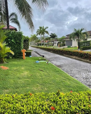 A residential street with houses, palm trees, and a well-maintained lawn.