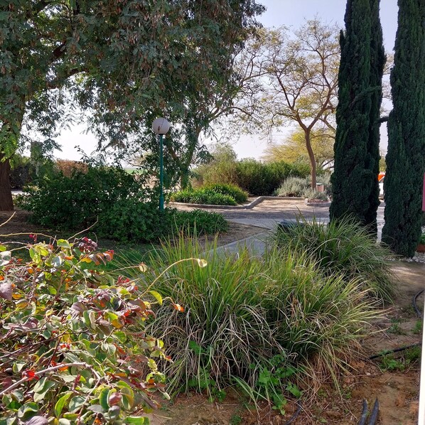 A garden with various plants and trees, a pathway, and a lamp post.