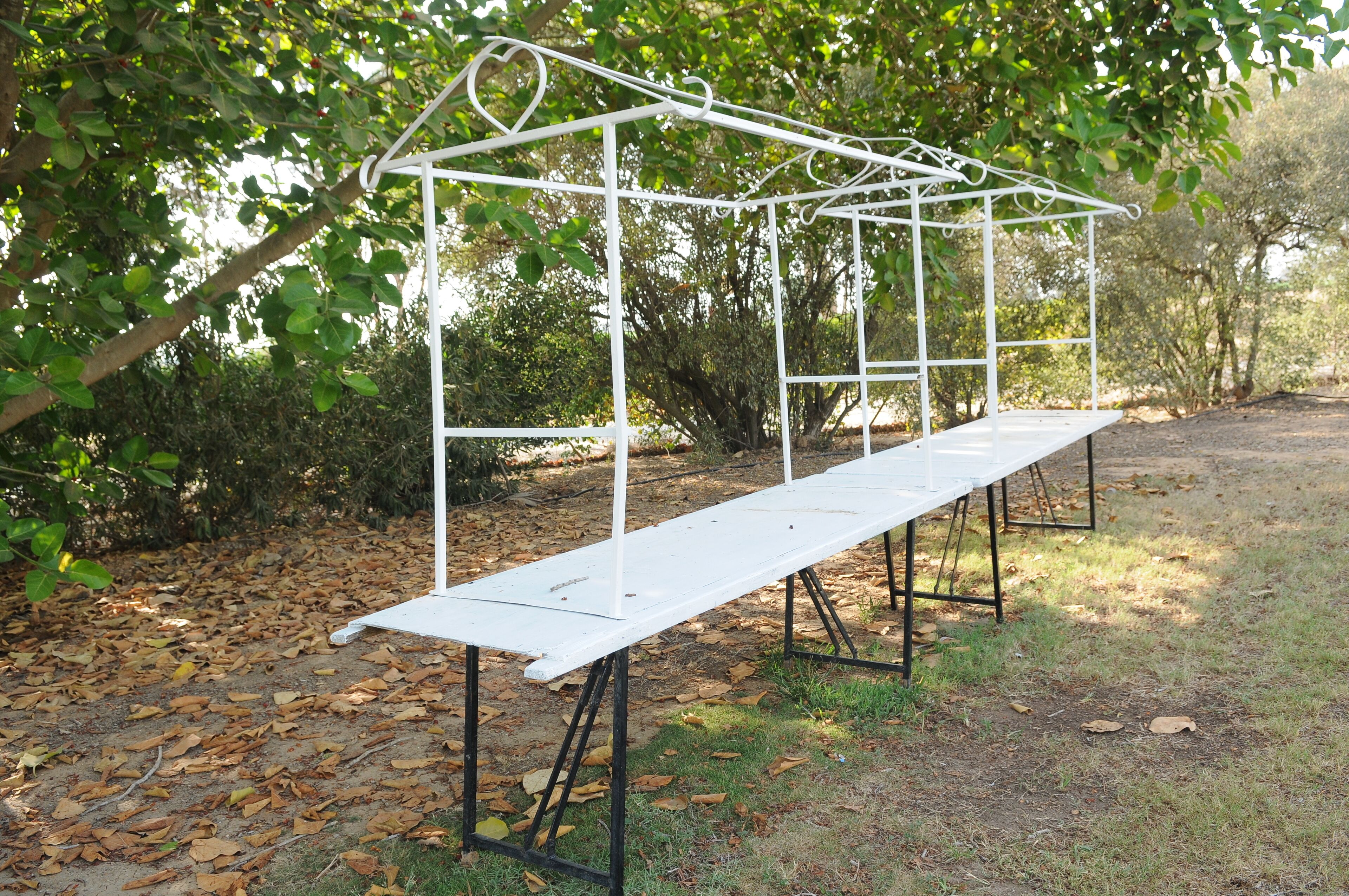 A white metal pergola structure with a bench underneath, surrounded by trees and fallen leaves.