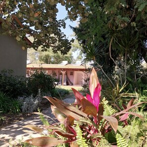 Garden view - Mandara - Country Lodging (Eshkol)