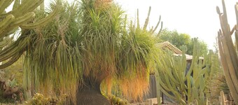 Mandara - Country Lodging