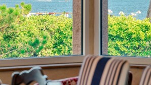 Udsigt fra et vindue over et kystlandskab med grøn vegetation og hav.