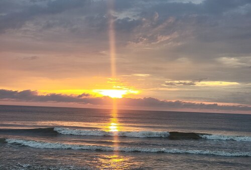 Octopus Oasis, HORSES/
Sea Turtles 4x4 a must  Pets OK.  Jacuzzi.  Carova Beach