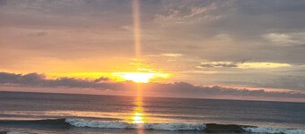 Octopus Oasis, HORSES/
Sea Turtles 4x4 a must  Pets OK.  Jacuzzi.  Carova Beach