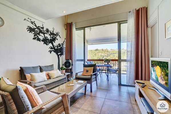 平板电视、DVD 播放器