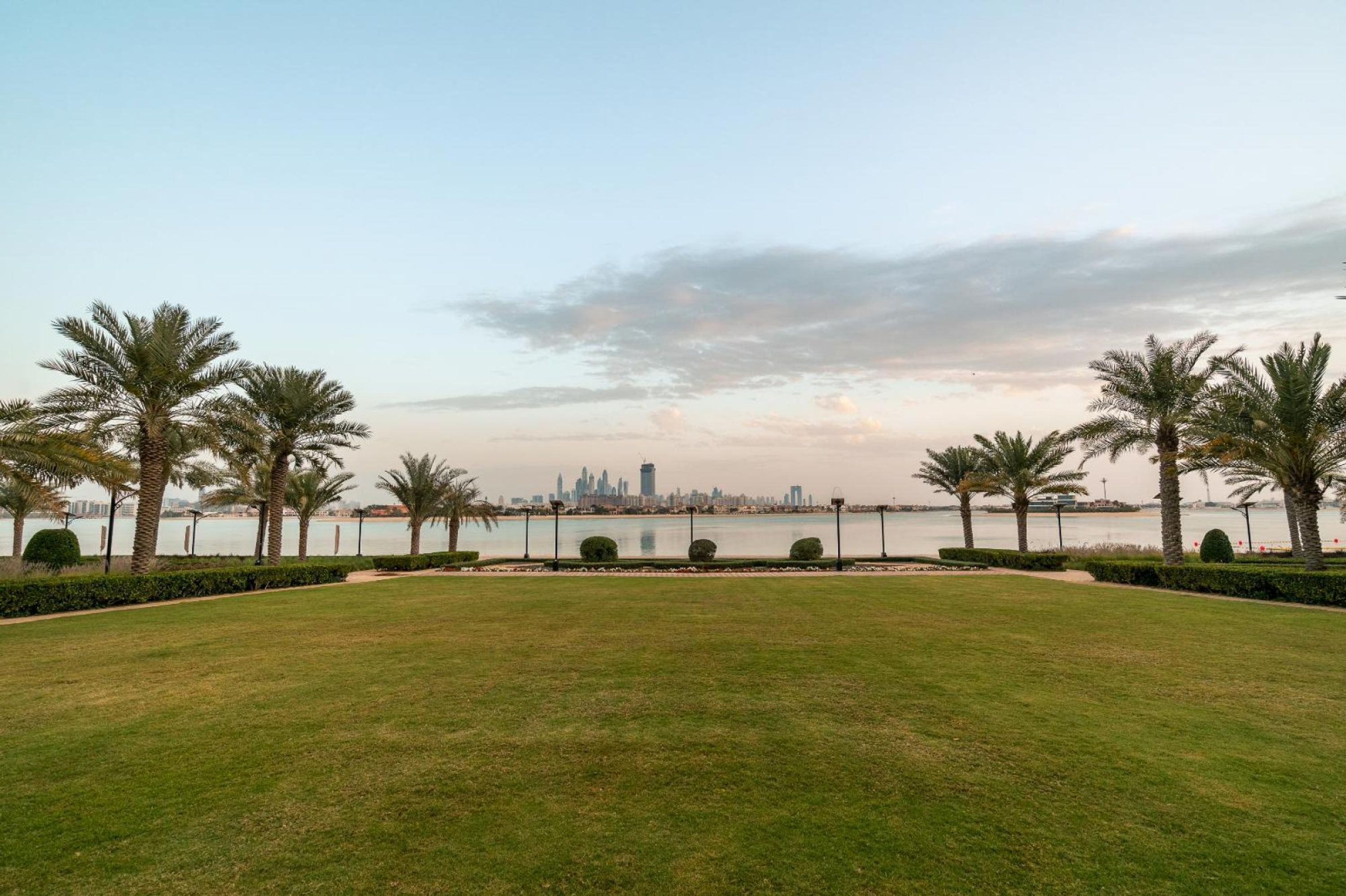A grassy park area with palm trees and a view of a city skyline across a body of water.