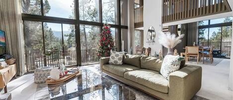 TV, fireplace, offices