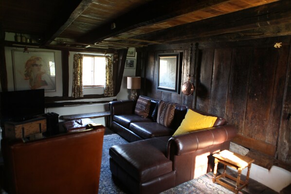 TV, fireplace, DVD player