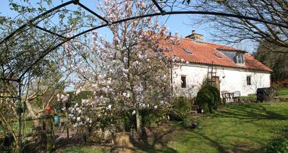 Medieval Cottage