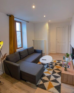 TV - Appart'Hôtel Le Strasbourg - RENOVATED, CALME AND NETFLIX (Belfort)