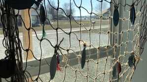 A hammock with fishing lures hanging from it, positioned in front of a window overlooking a parking area. - Grand Lake Barndominium. Close to Wolf Creek & Monkey Island. Lake access! (Afton)