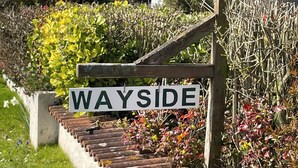 A sign reading "WAYSIDE" attached to a wooden post, with a staircase leading up to it. - Chestnut Lodge - UK38194 (Bromham)