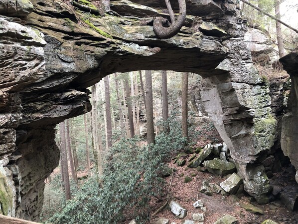 A natural rock arch formation with a forested background. - Big South Fork! Peaceful, Relaxing, On the Trails…Six Decks ~ Nature’s Paradise! (Strunk)