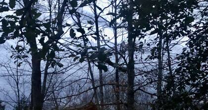Big South Fork! Peaceful, Relaxing, On the Trails…Six Decks ~ Nature’s Paradise!