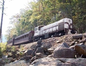 A train on a steep, rocky incline surrounded by dense forest. - Big South Fork! Peaceful, Relaxing, On the Trails…Six Decks ~ Nature’s Paradise! (Strunk)