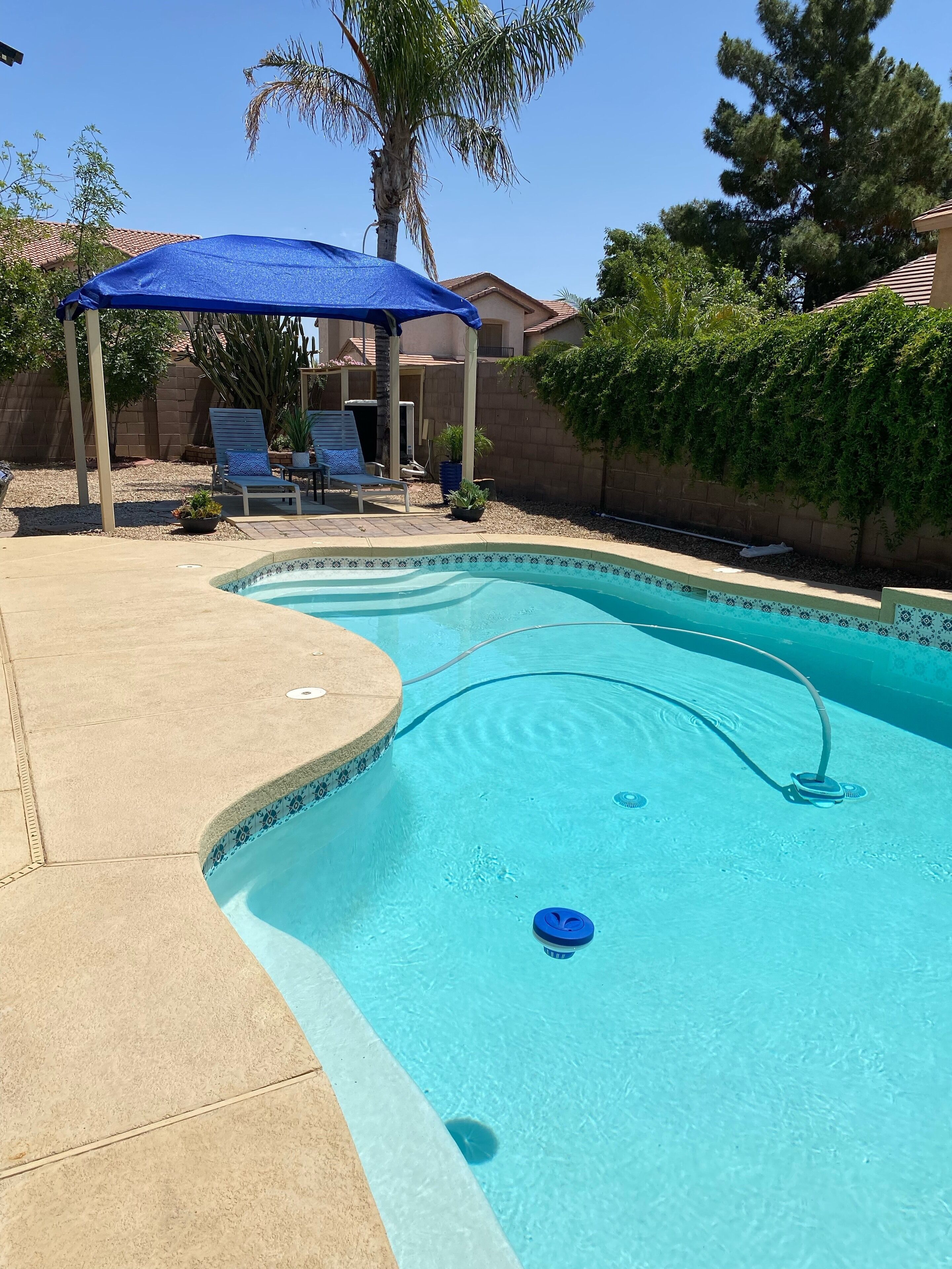 A swimming pool with a blue cover, lounge chairs, and a pergola.
