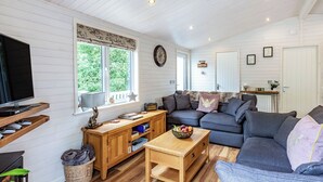 Un salon confortable avec un téléviseur, un canapé, une table basse en bois et une cheminée.