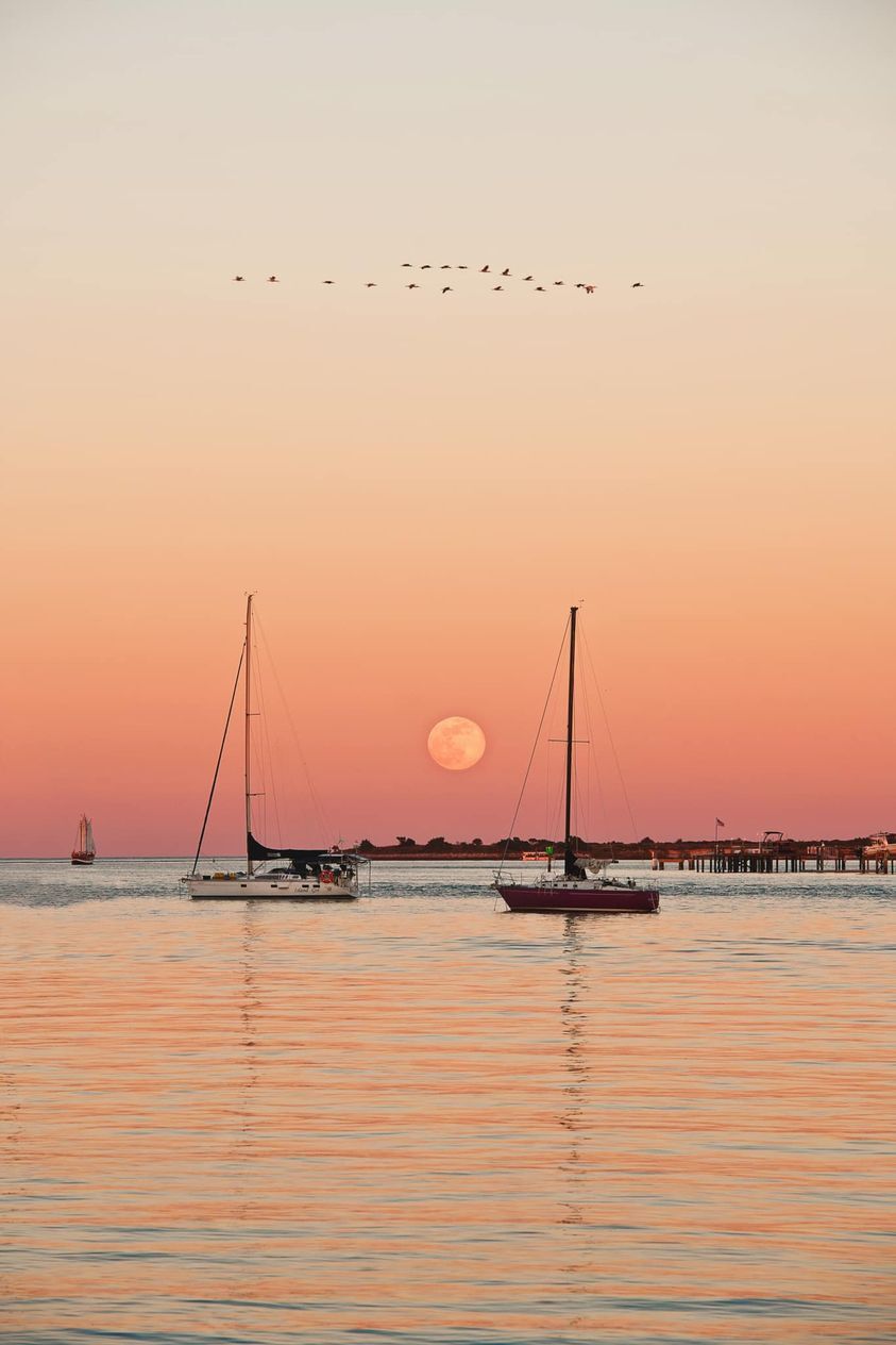 Un atardecer sobre aguas tranquilas con dos veleros anclados, un muelle al fondo y una bandada de aves volando.