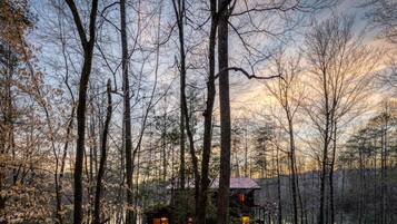 A cabin surrounded by tall trees with a clear view of the sky.