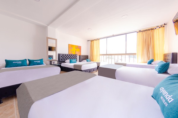 Habitación estándar, varias camas | Ropa de cama hipoalergénica, tabla de planchar con plancha, wifi gratis