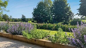 Un jardín con cerca de madera, plantas de lavanda y un cielo azul claro.