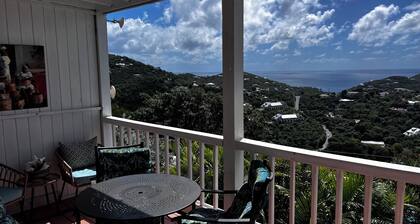 Meilleure affaire pour 2 couples ou une famille!