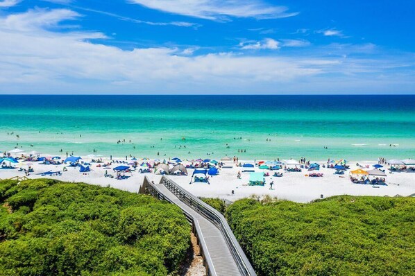 Enjoy a scenic beachside promenade surrounded by lush greenery and leading to the sandy shore.