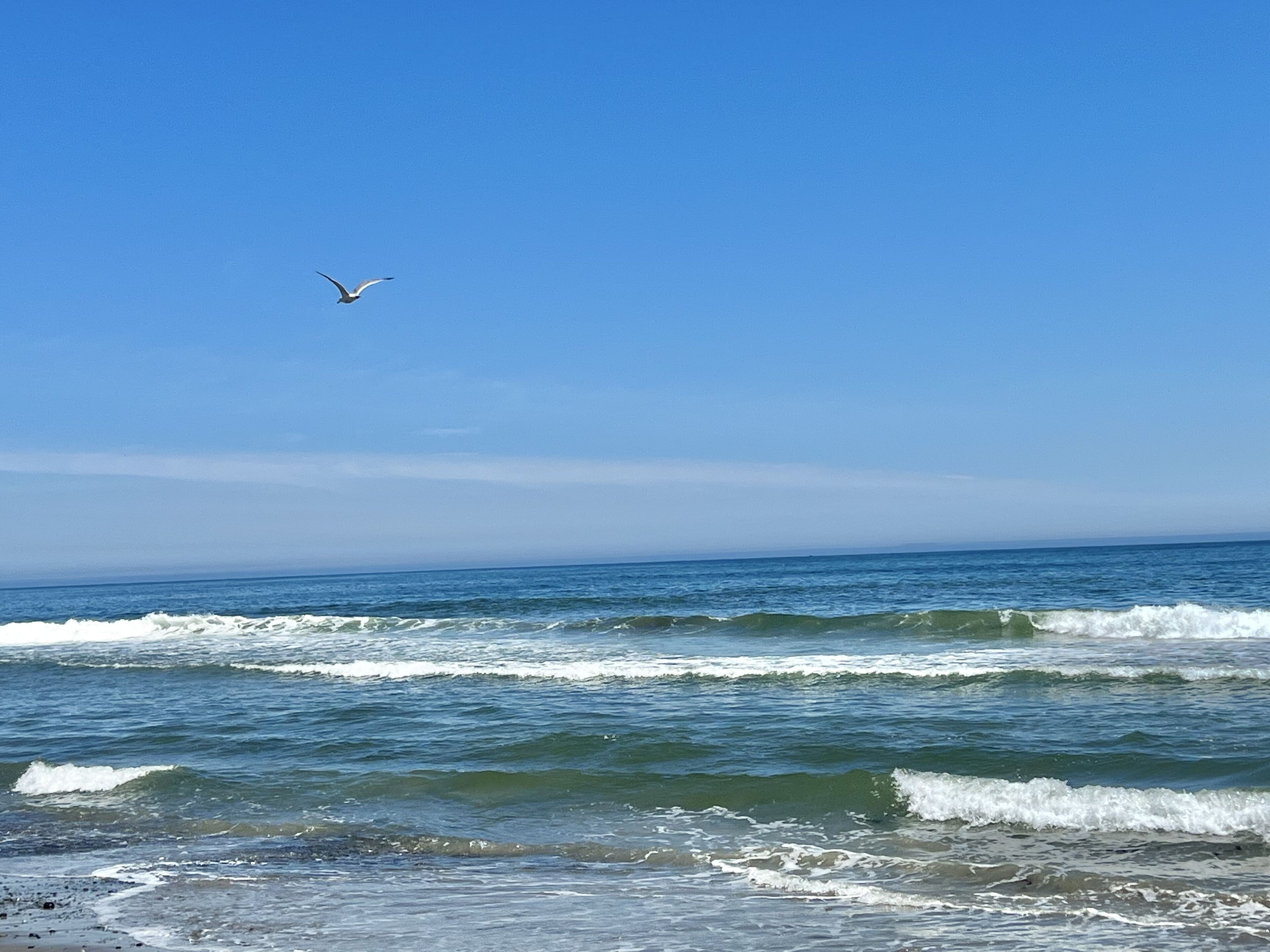 Accommodatie ligt op het strand, ligstoelen, strandlakens