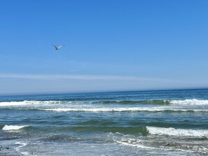 在海滩、沙滩椅、沙滩毛巾