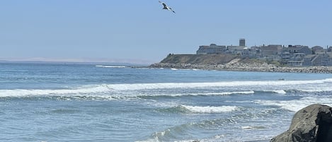 在海滩、沙滩椅、沙滩毛巾