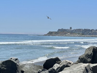 Oceanfront, private balcony, stunning panoramic views of the Atlantic 